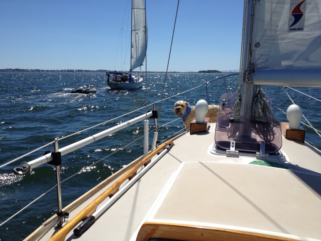 Brown, His Boat, And His Pooch on Narragansett Bay